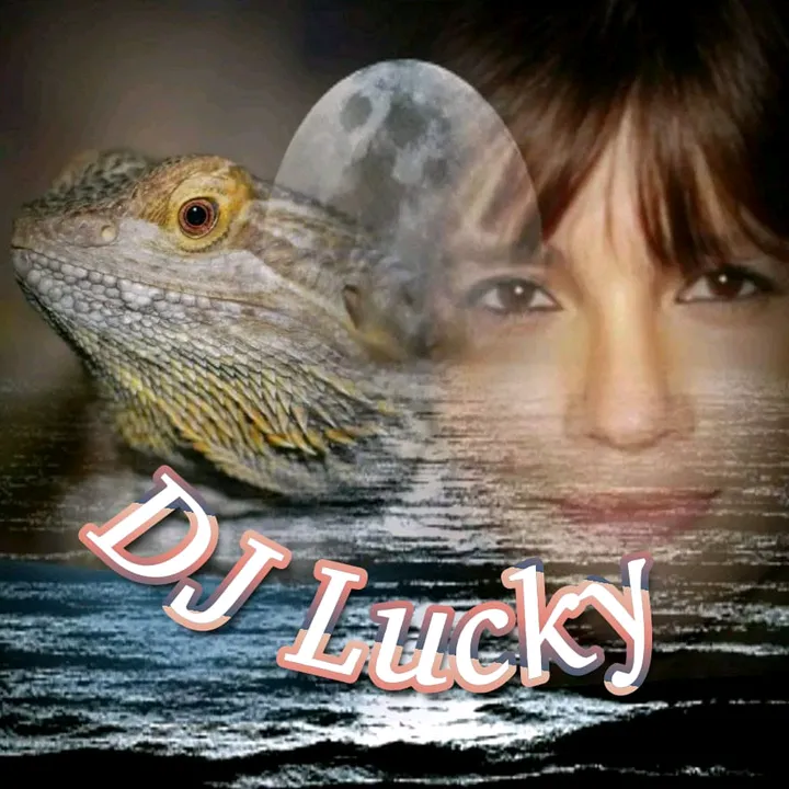 petrakrick78