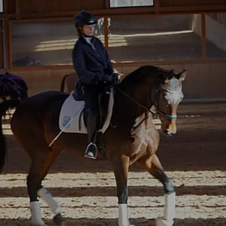 ena.equestrian