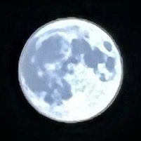 🤍🖤LUNA🤍🖤 - original sound