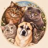 perla.and.cats