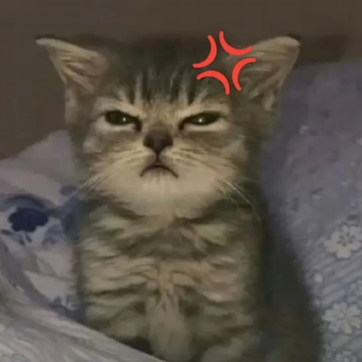 tt_pablobot