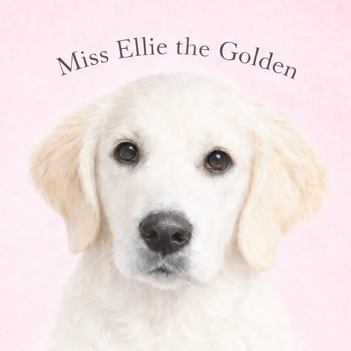 miss.ellie.the.go