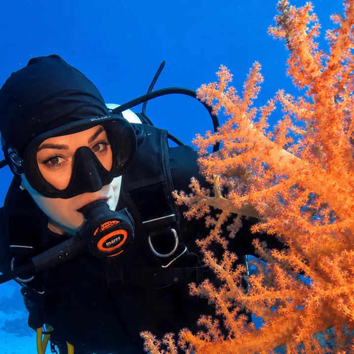 underwateramira