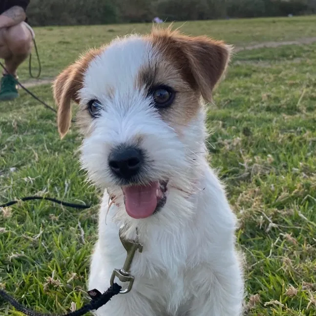 yukijackrussell