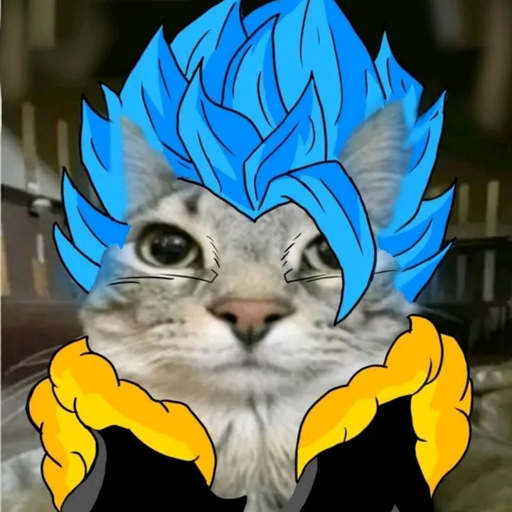 wowcool.editz