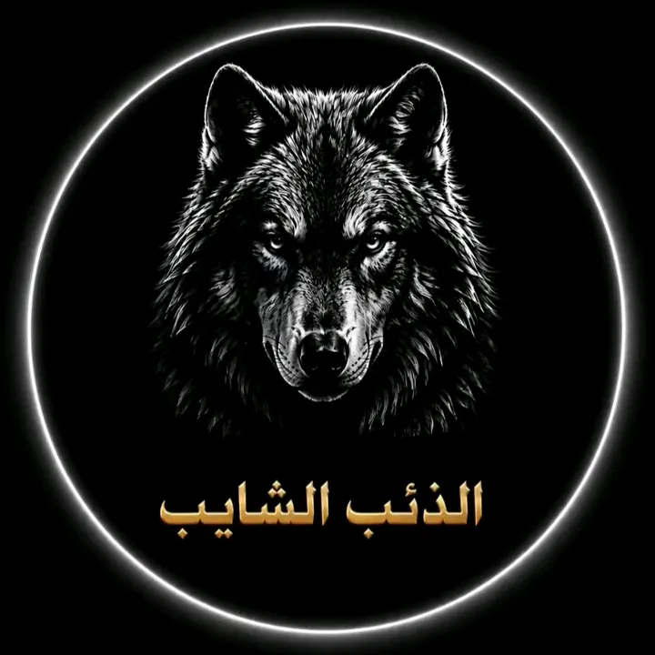 @dhiyb_alshaayib