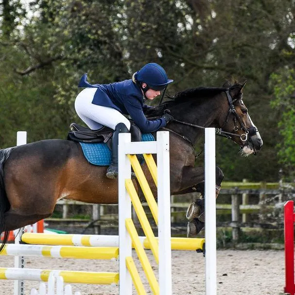 bgshowjumping