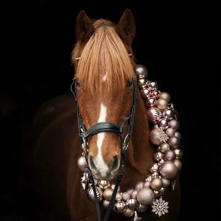 magic.pony_candy