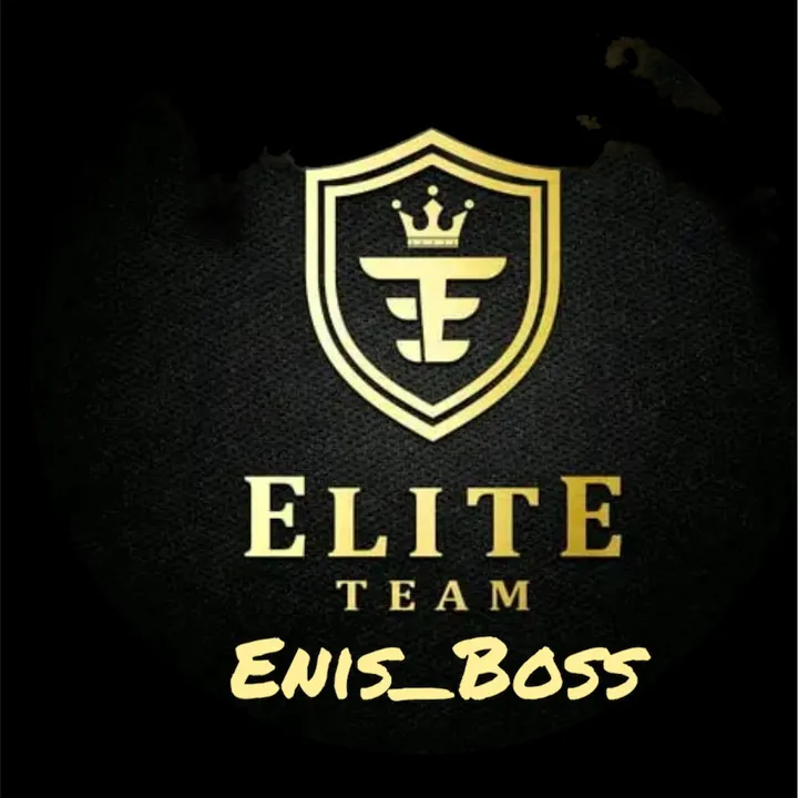 enis.bosscampi