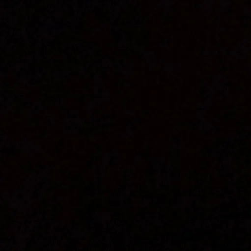 bunnie.c0rpseoldaccount