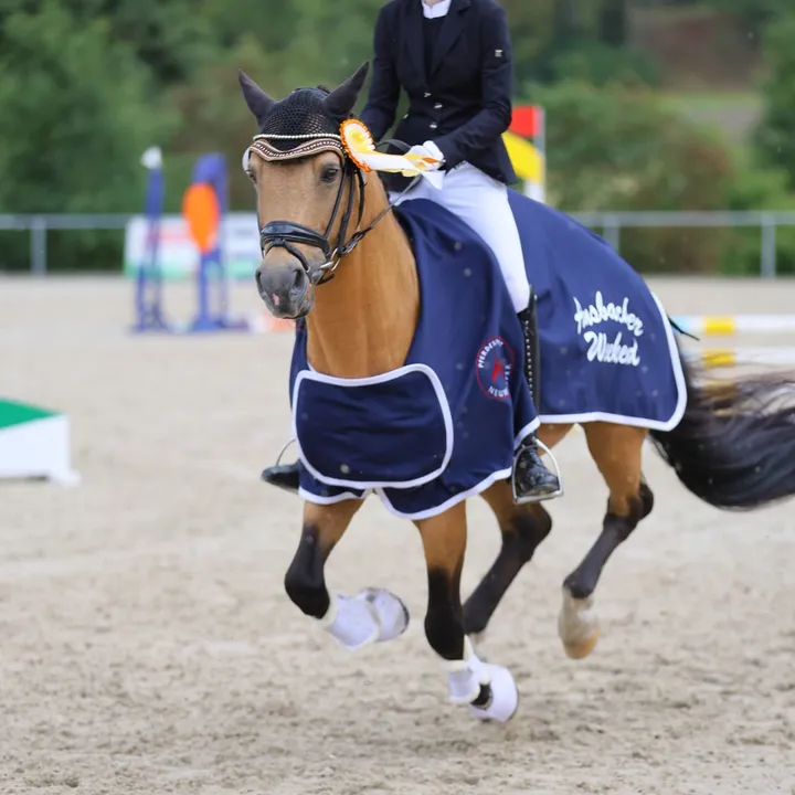 @pony4champion