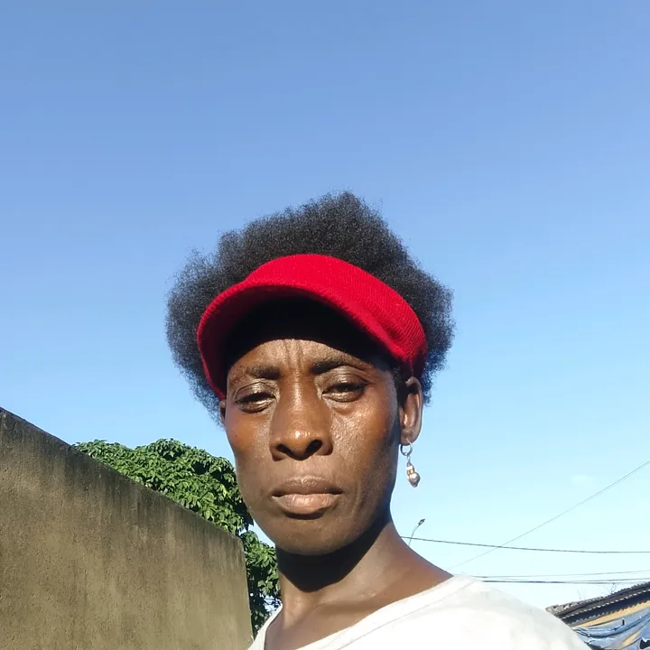 bibata.fane