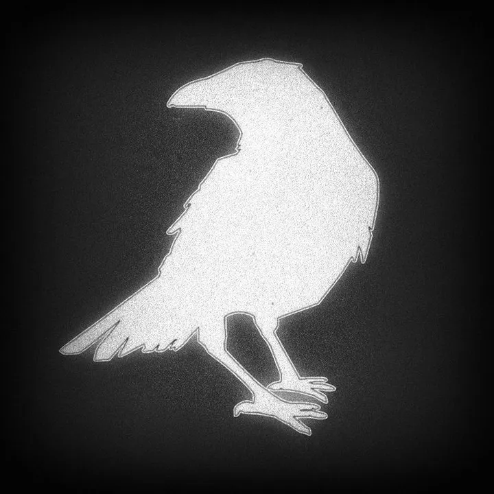 @ravenedits008