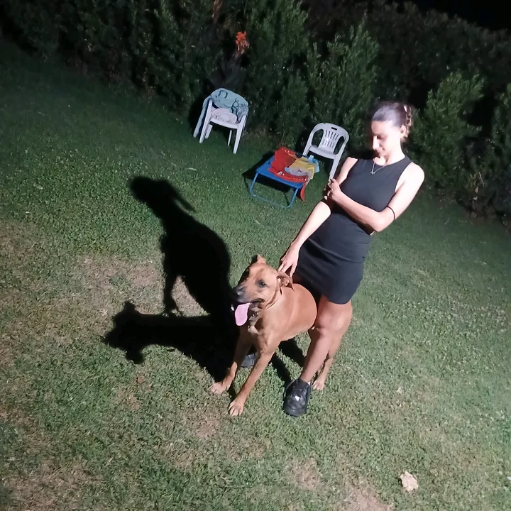 lisetta_080