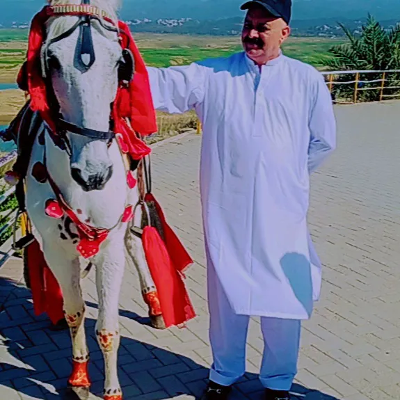 tanveerhussain7622