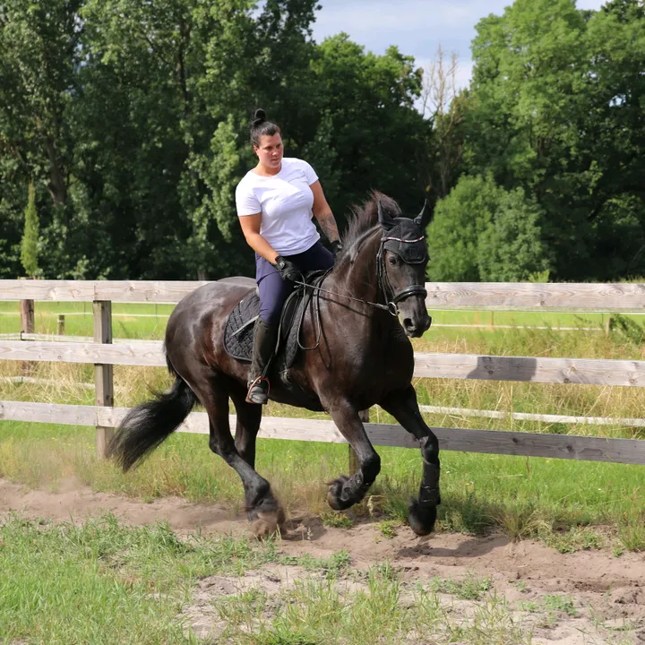 sabby_equestrian