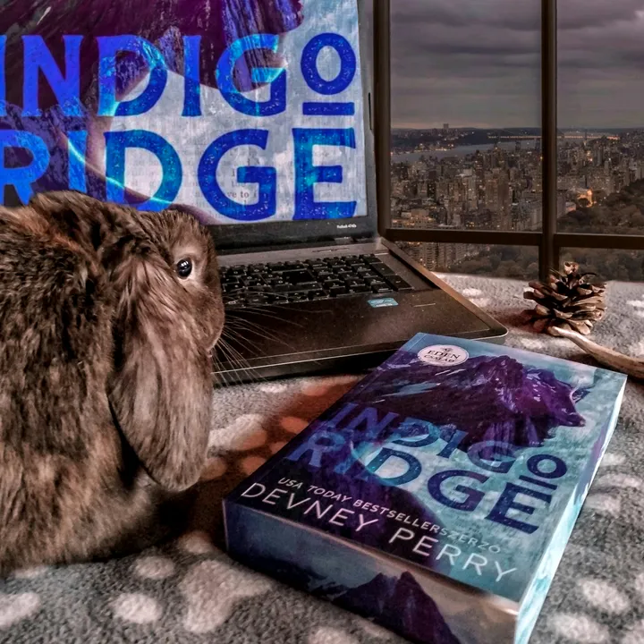 evisbookishcorner