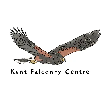 kentfalconrycentre