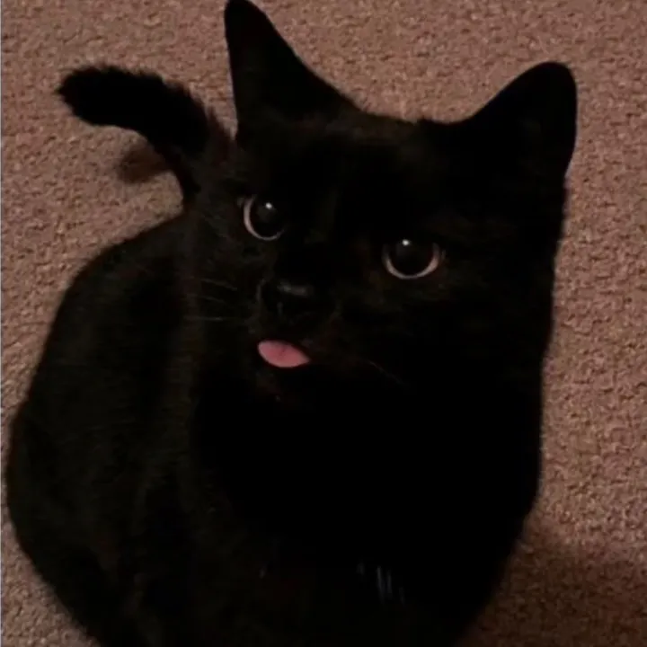 @jazztheknifer