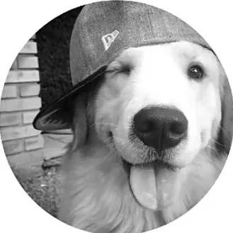 lovsko2