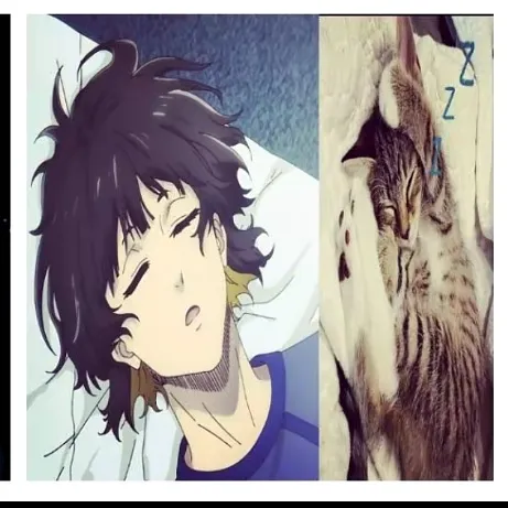 dilosyht