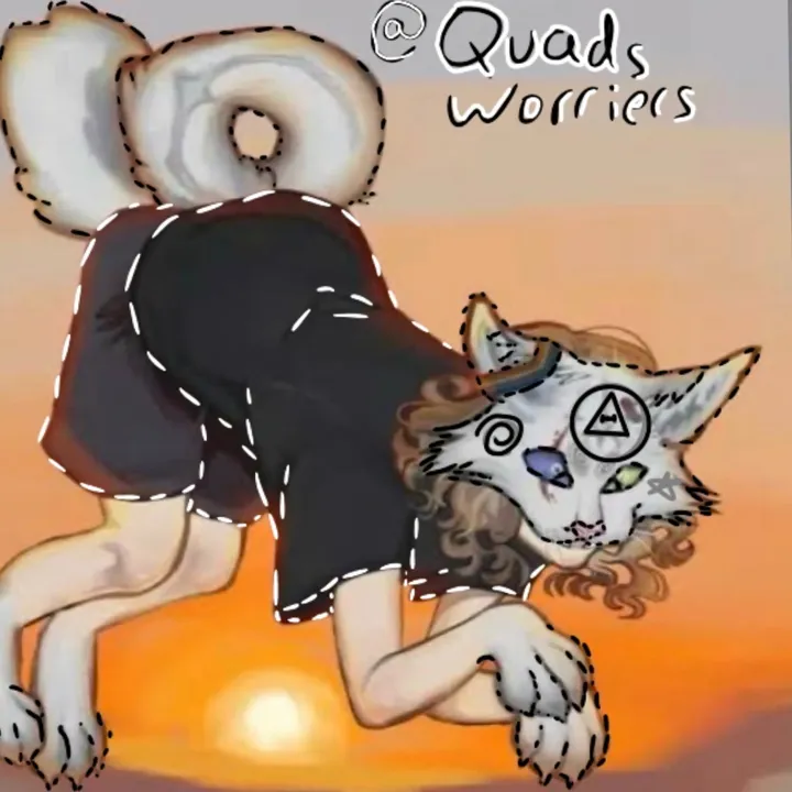 quadwarriors