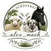 alex_maeh