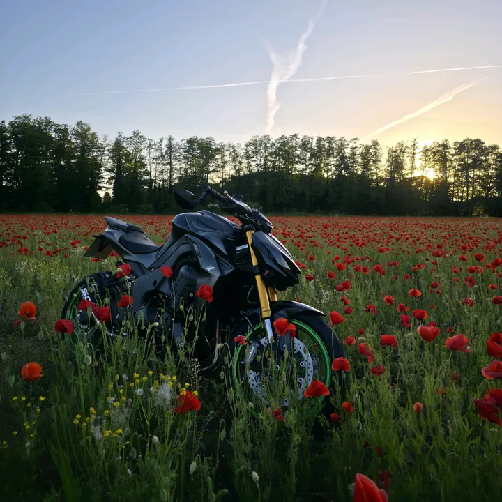@z1100se