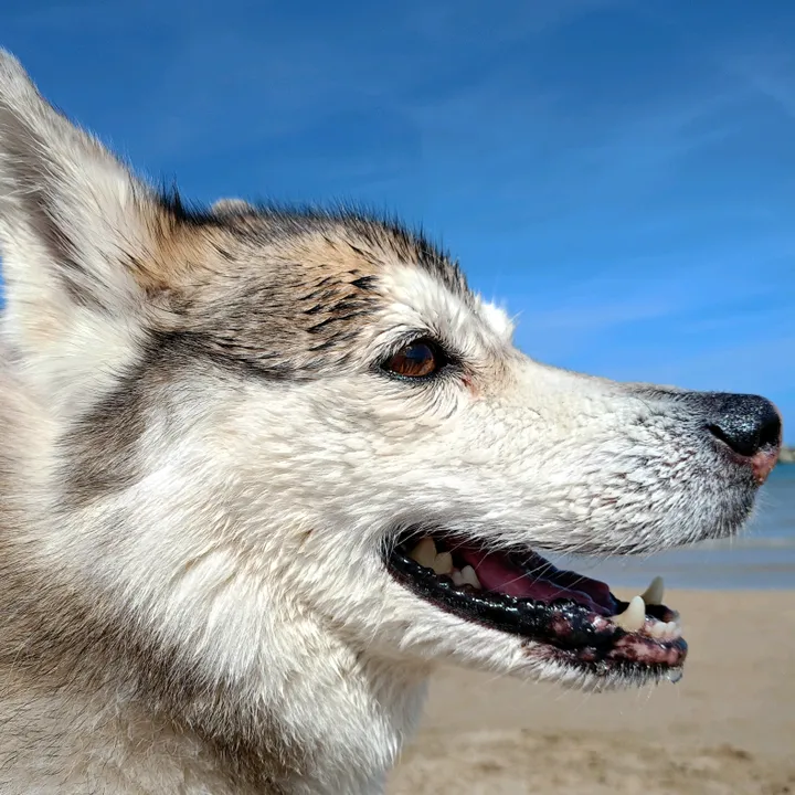 vallyson