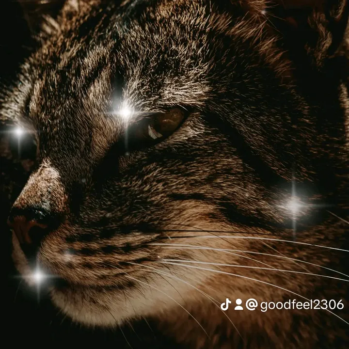 @goodfeel2306