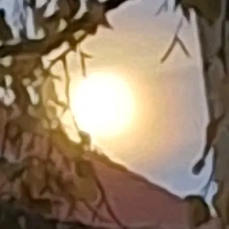 @s_a_r_a_h_334