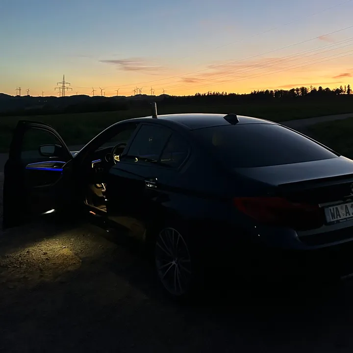 pov_kani