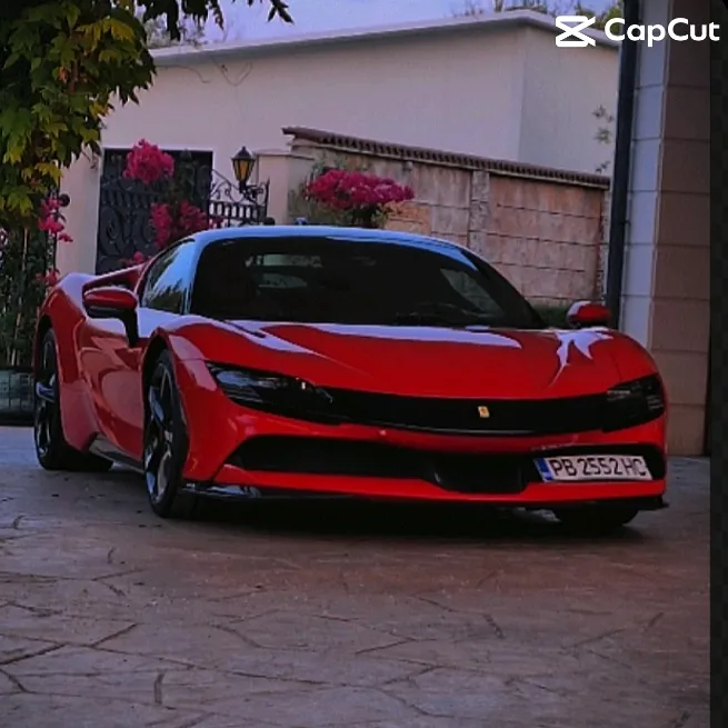 car..spotter_bg