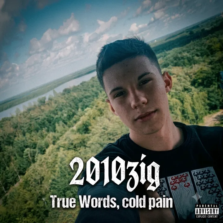 2010zig.vibes
