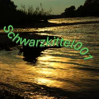 schwarzkittel001