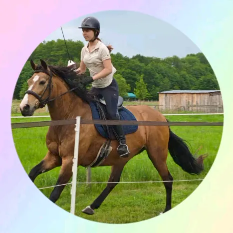 soulhorse.adriana
