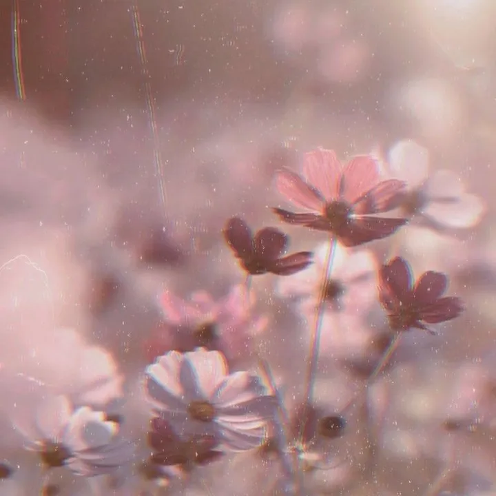 rainythoughts