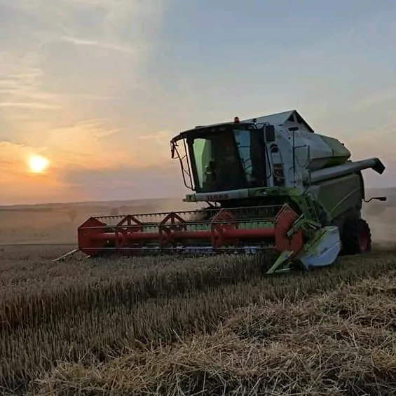 michal_agro2020