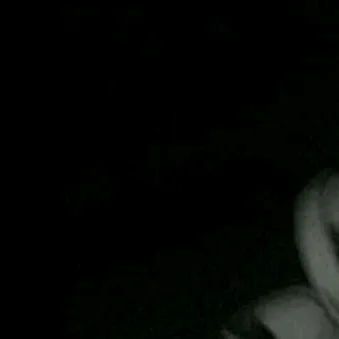 ikaa.gpp
