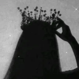 𝐌 𝐄 𝐘 𝐒 𝐇 𝐀 - Chanda_Taare