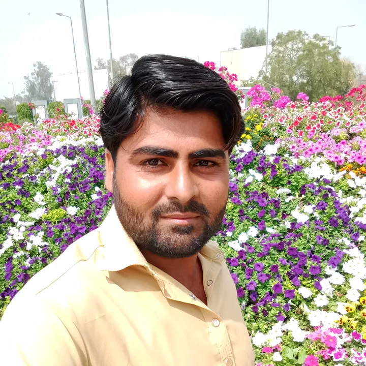 sajjadsarwar786786