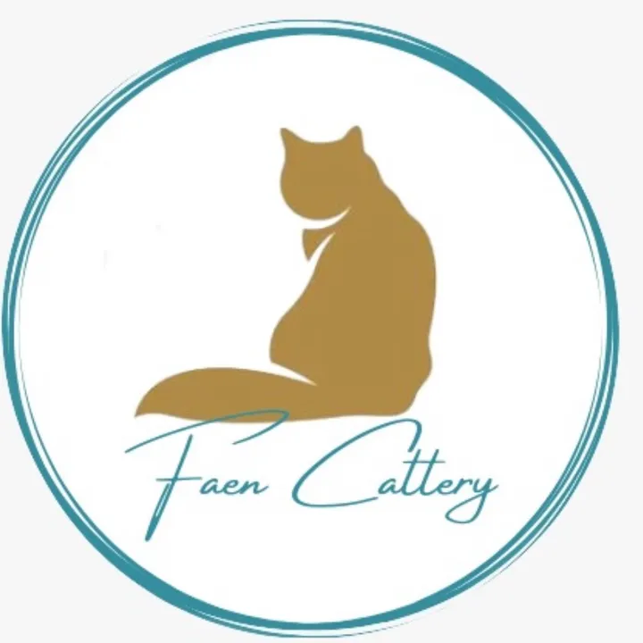 faencattery