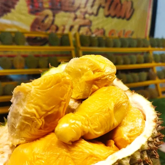 durian_sultann