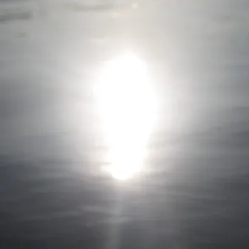 @digitalvideoss