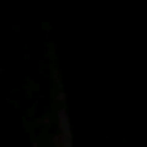 gonnpokee