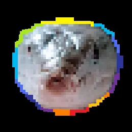 @ryanxryans