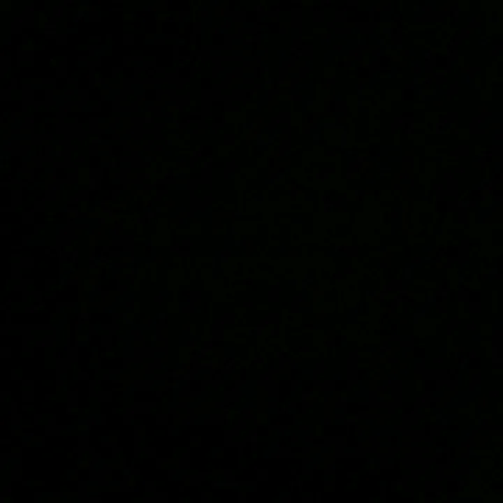 vae_00