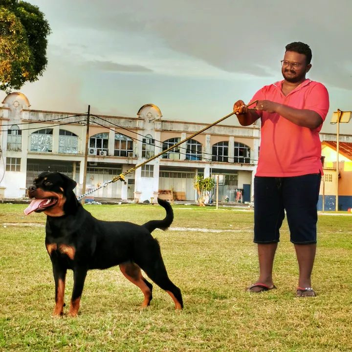 mahatheivanshanmu