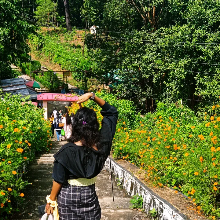 poojachy242