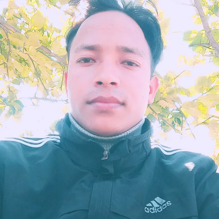 sapanakomanxe123